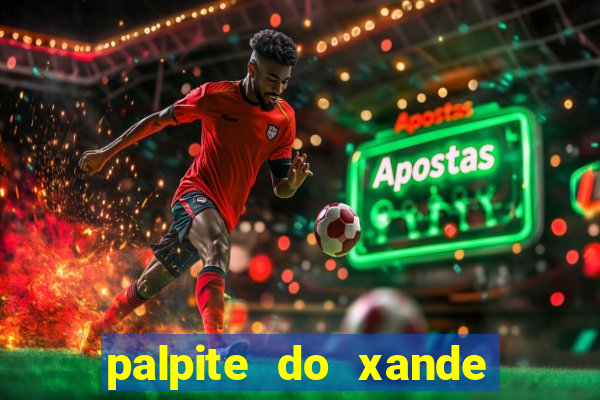 palpite do xande de hoje